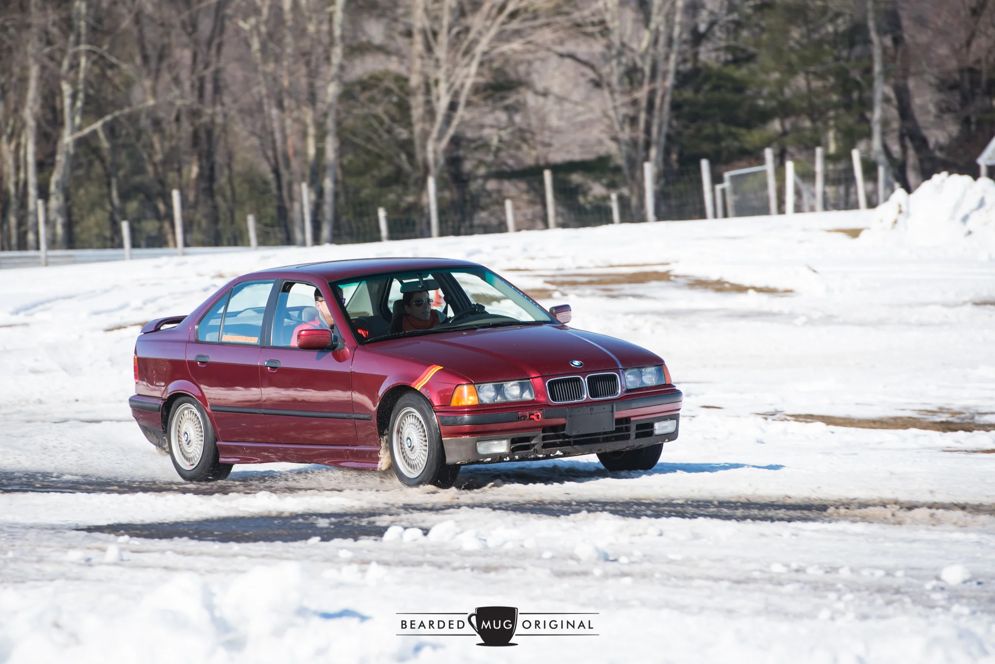 DSC_3528.jpg