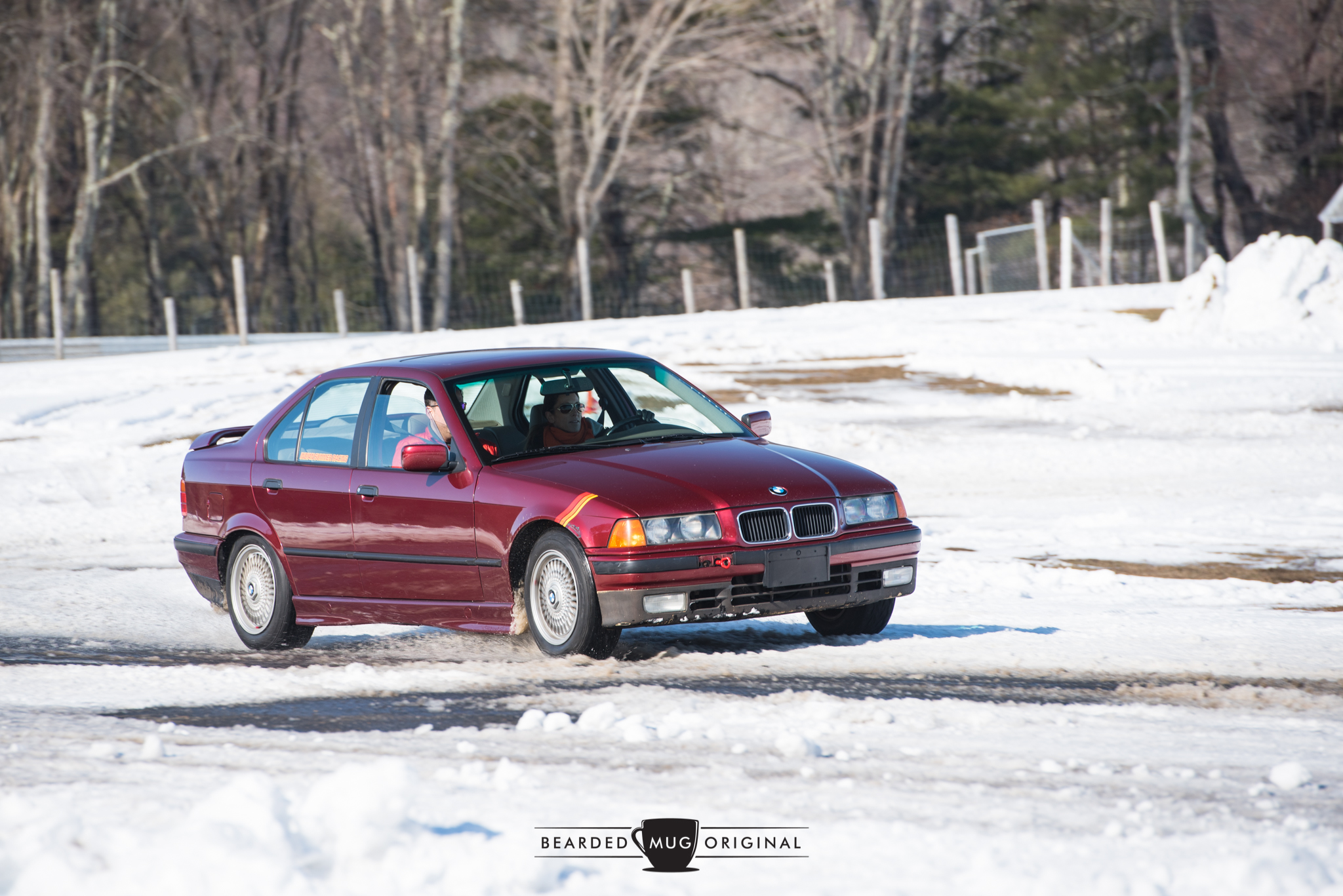 DSC_3528.jpg