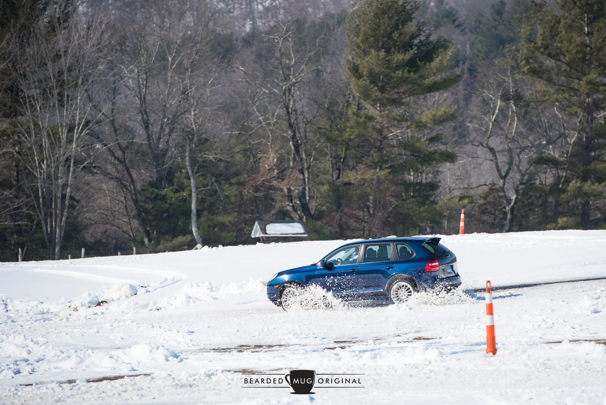 DSC_3902.jpg