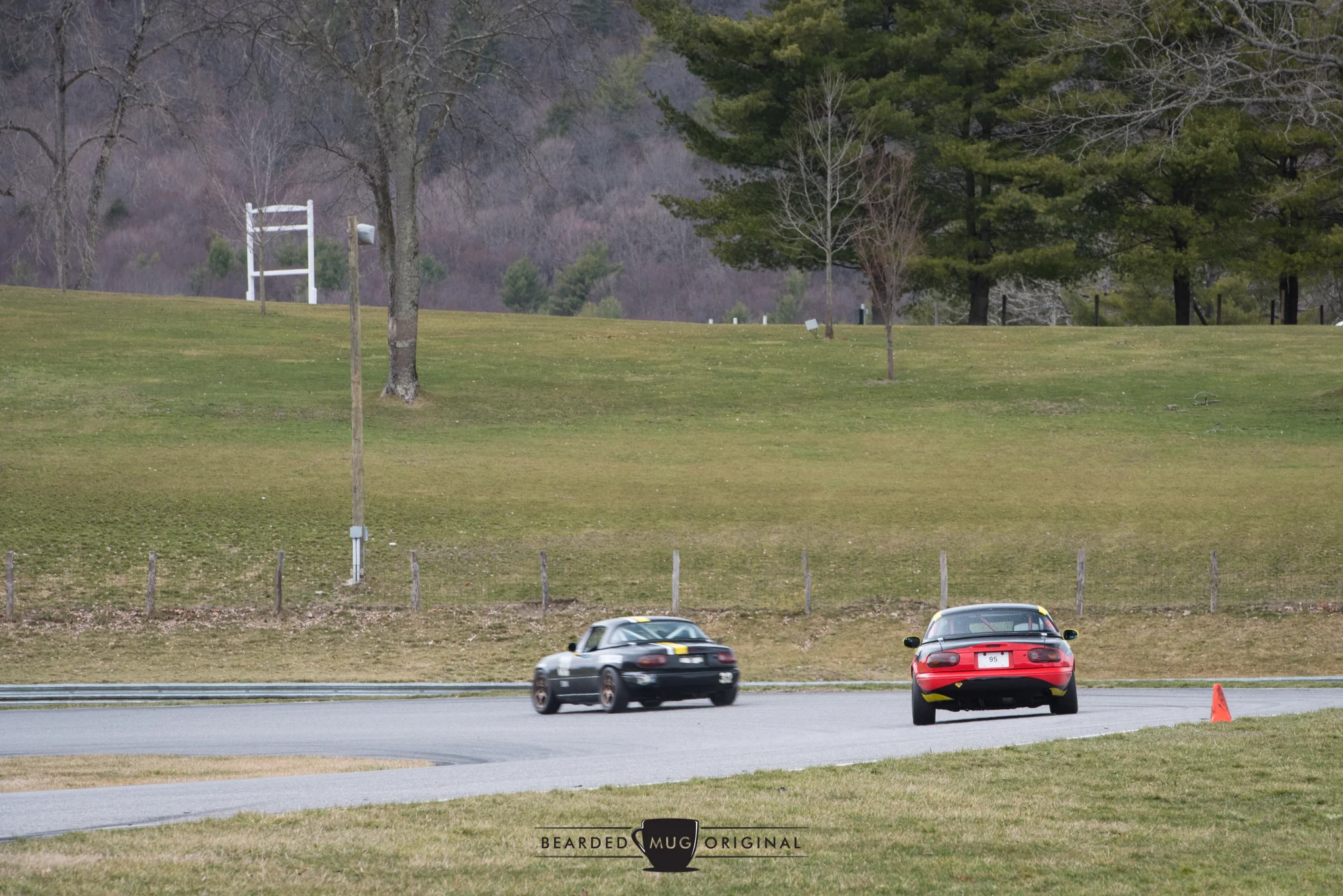 DSC_9107.jpg