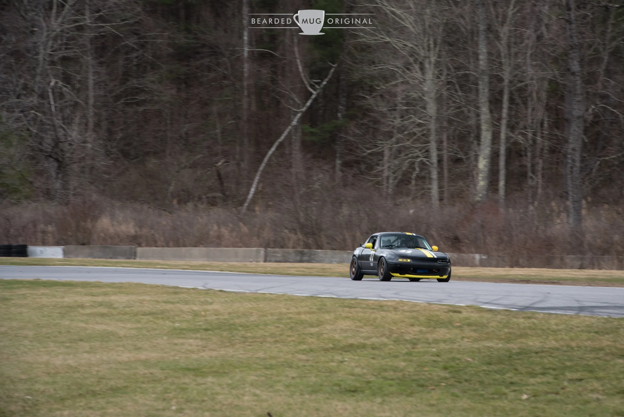 DSC_9019.jpg