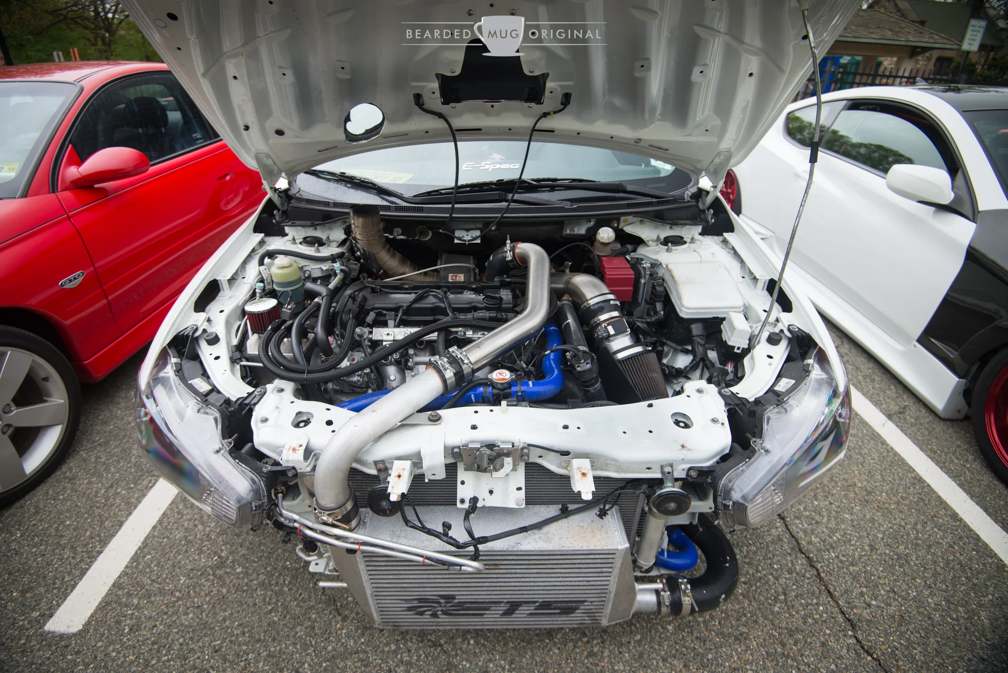 DSC_3769.jpg