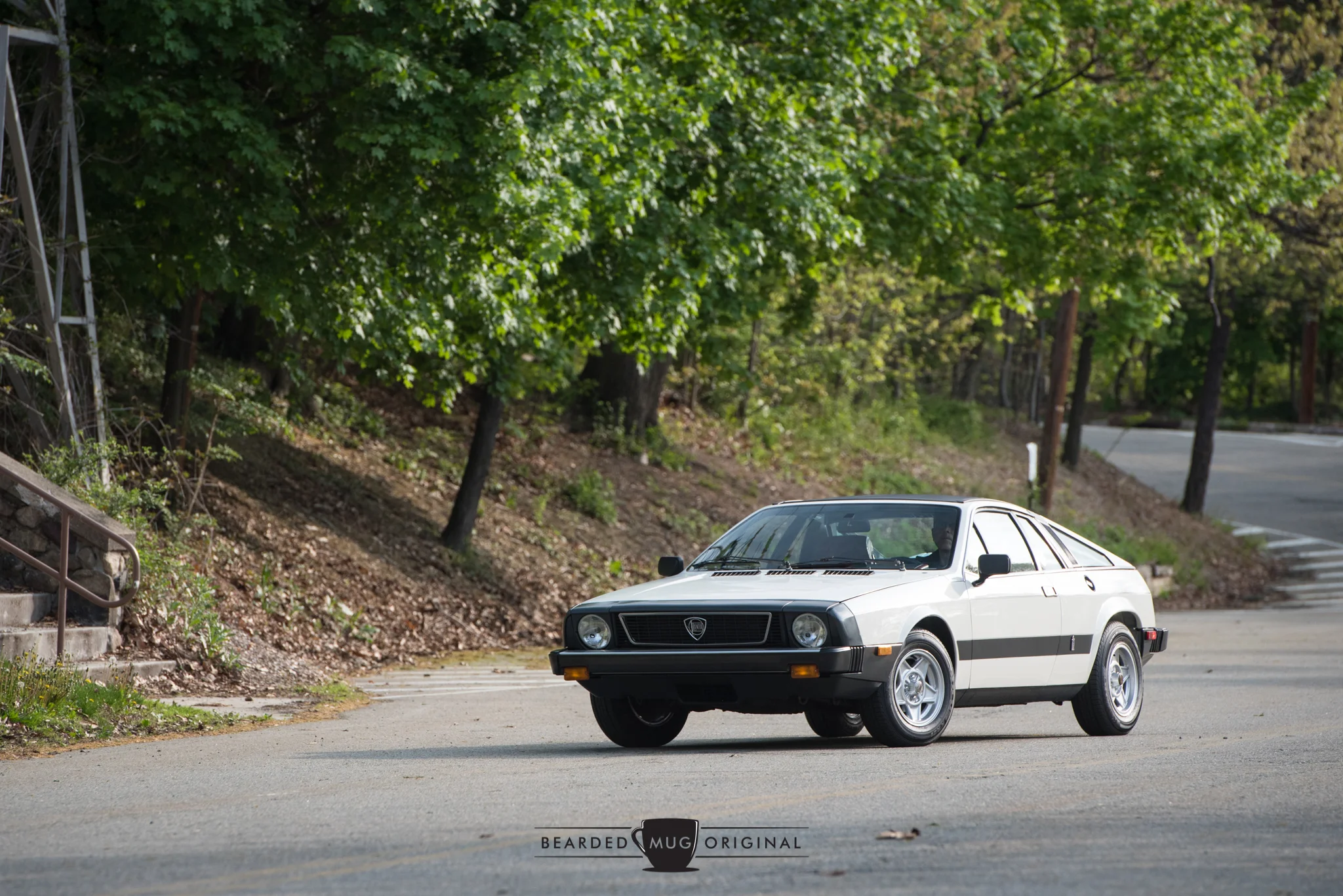 DSC_7909.jpg