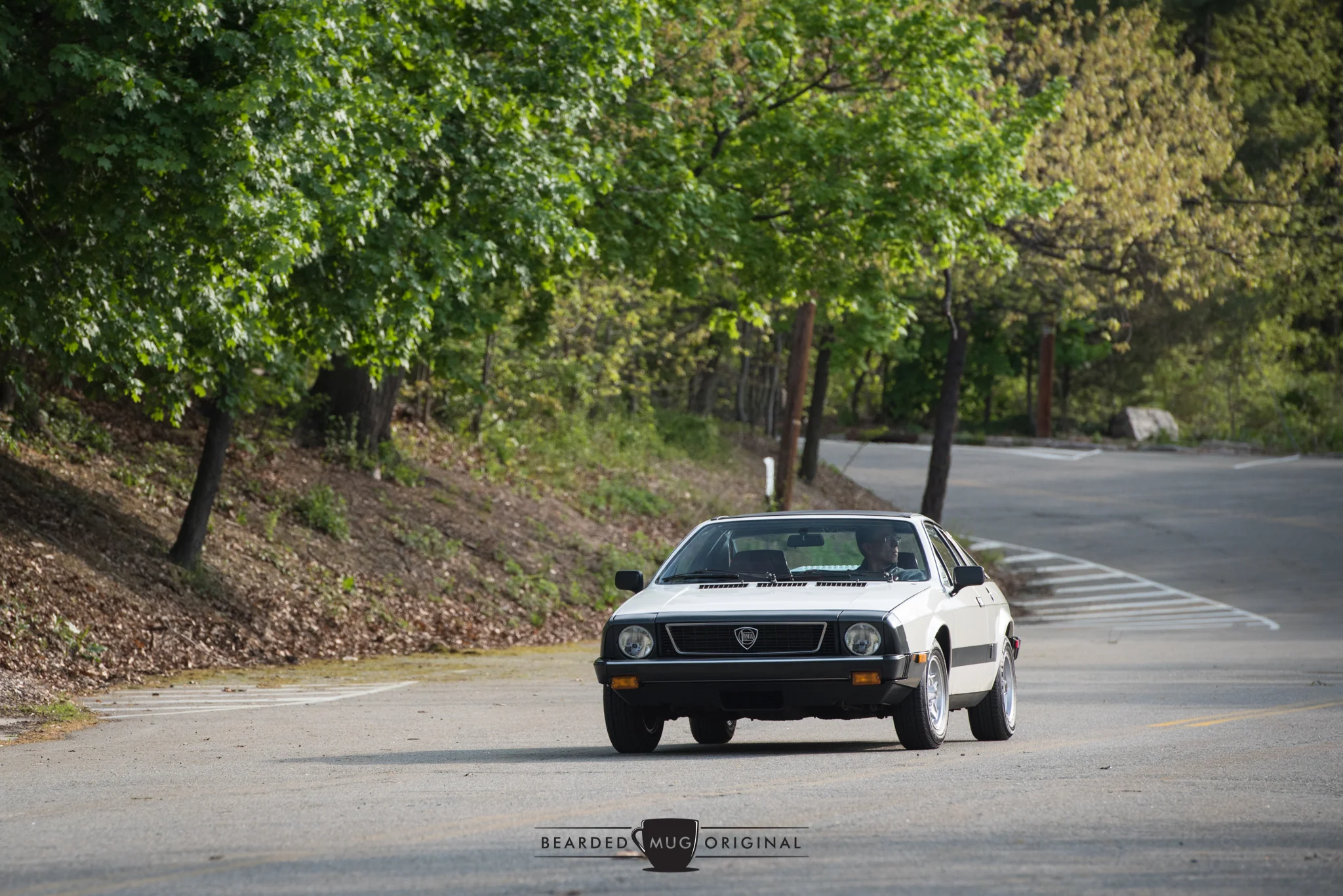 DSC_7908.jpg