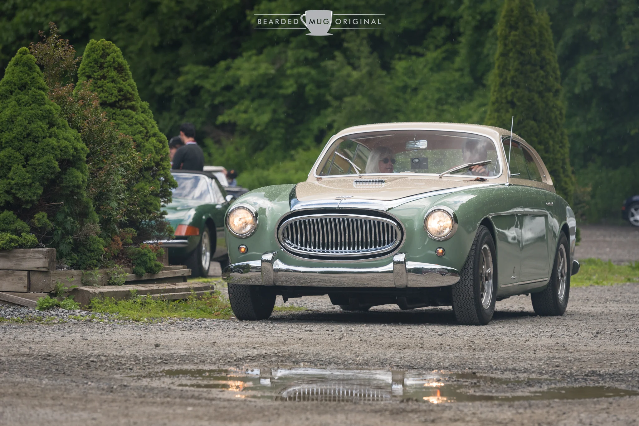 DSC_2772.jpg