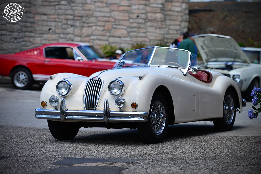 JaguarXK120white.jpg