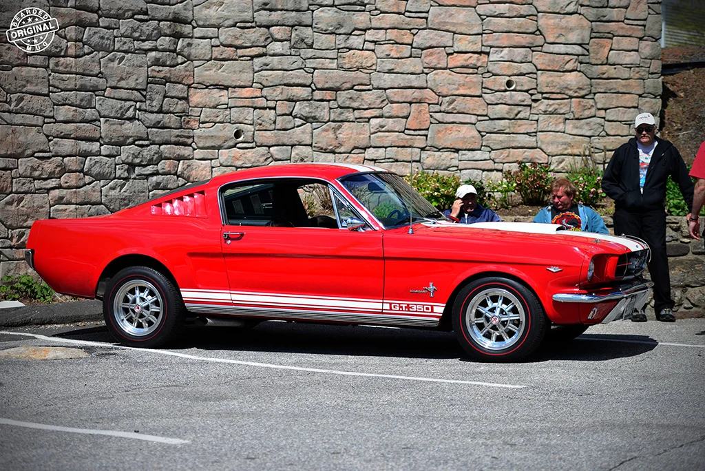 ShelbyGT350side.jpg