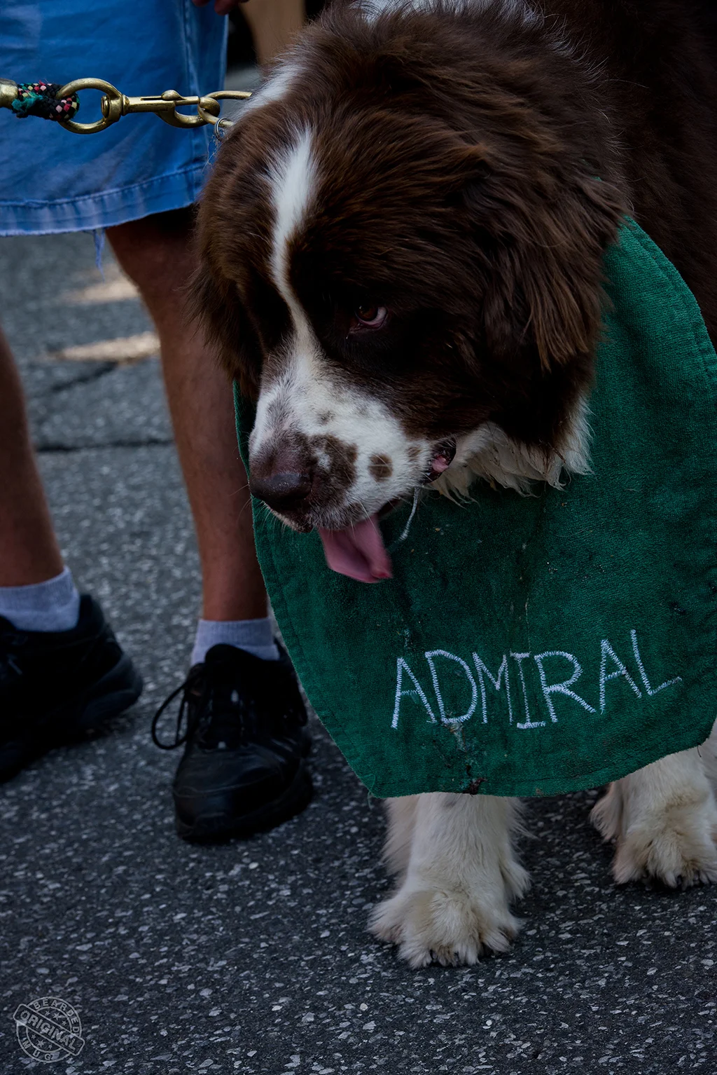 _DSC3135.jpg