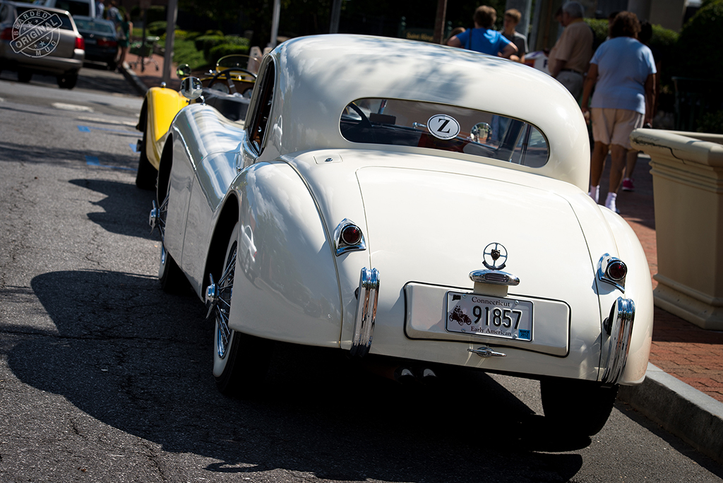 _DSC3388.jpg