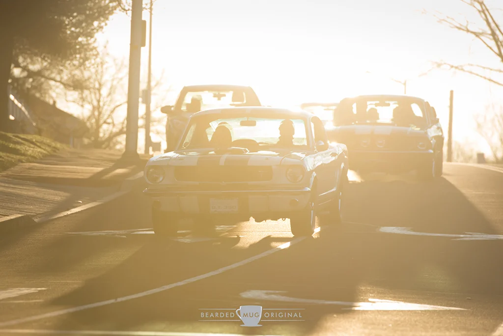 DSC_5644.jpg