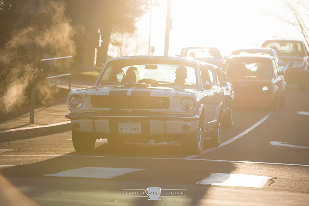 DSC_5648.jpg