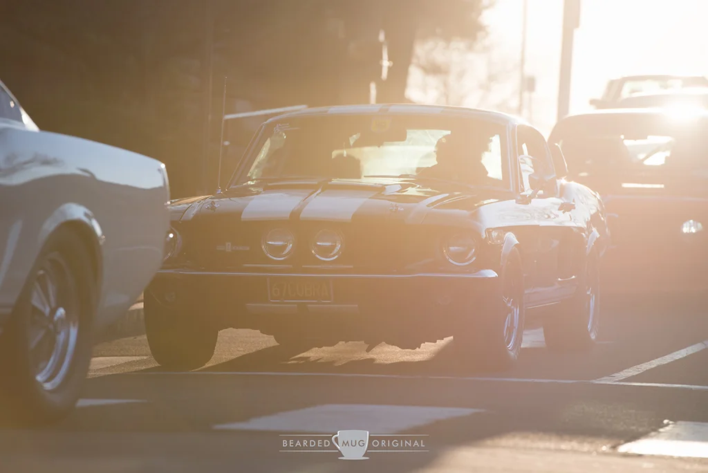 DSC_5651.jpg
