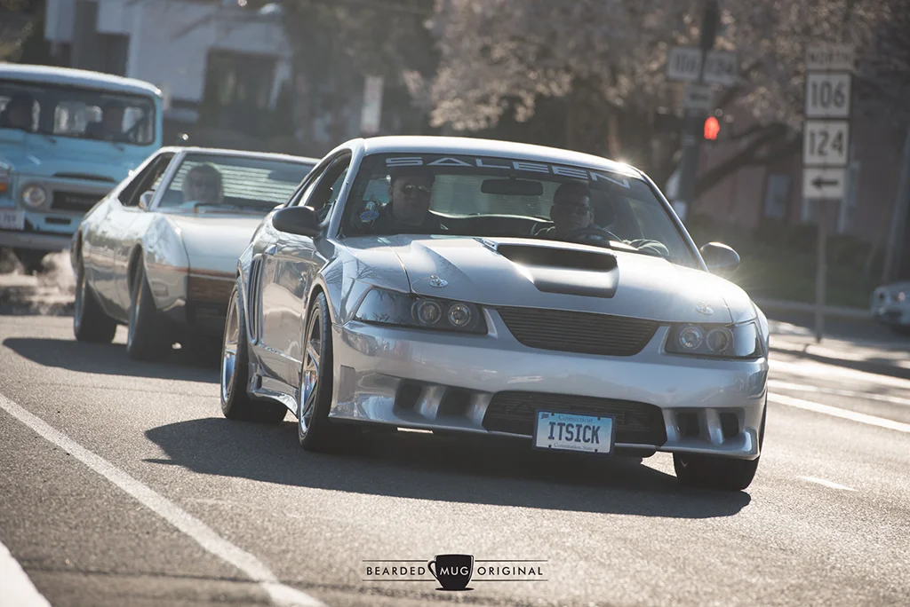 DSC_6261.jpg
