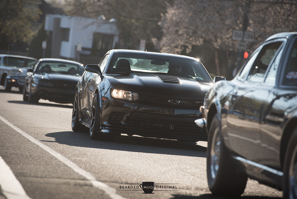 DSC_6275.jpg