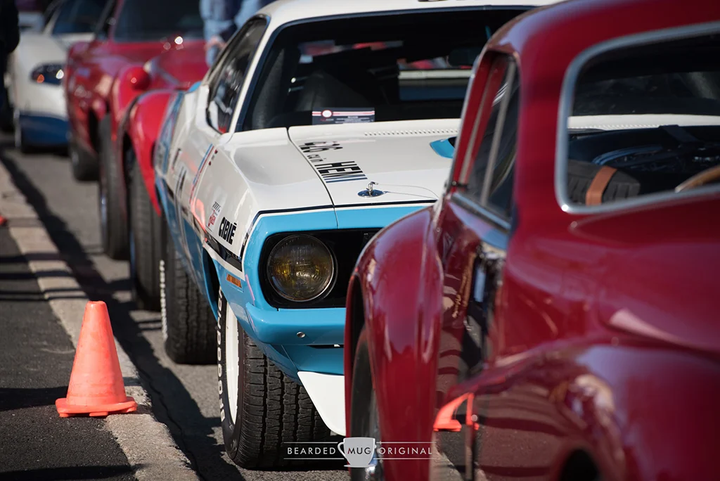 DSC_6375.jpg