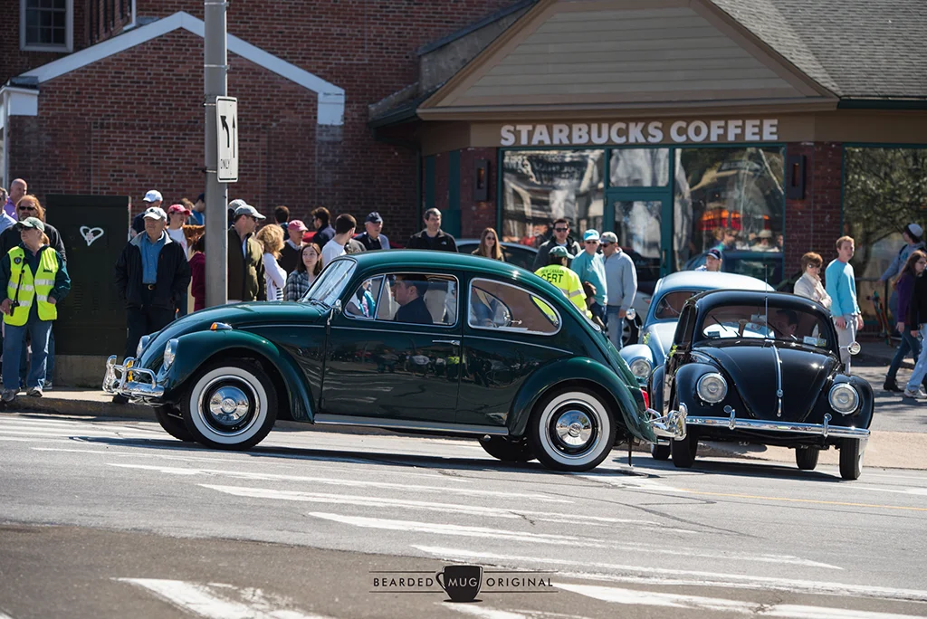 DSC_6552.jpg