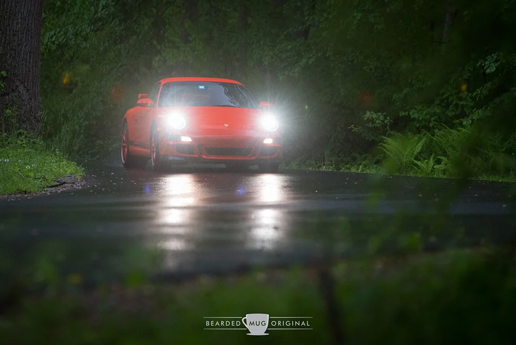 DSC_1293.jpg