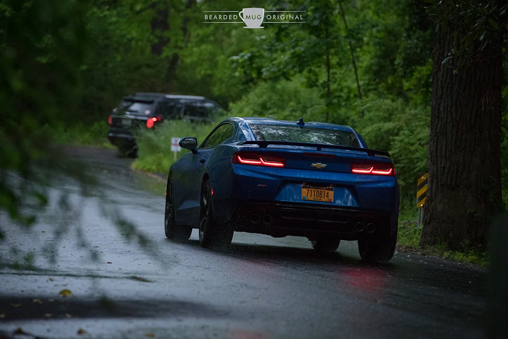 DSC_1333.jpg