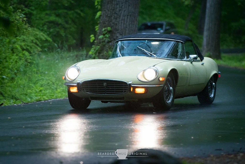 DSC_1447.jpg