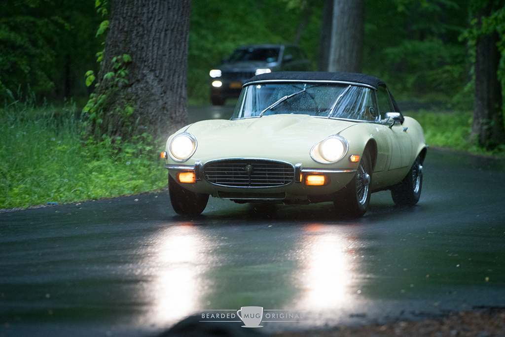 DSC_1445.jpg