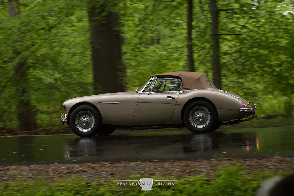 DSC_1677.jpg