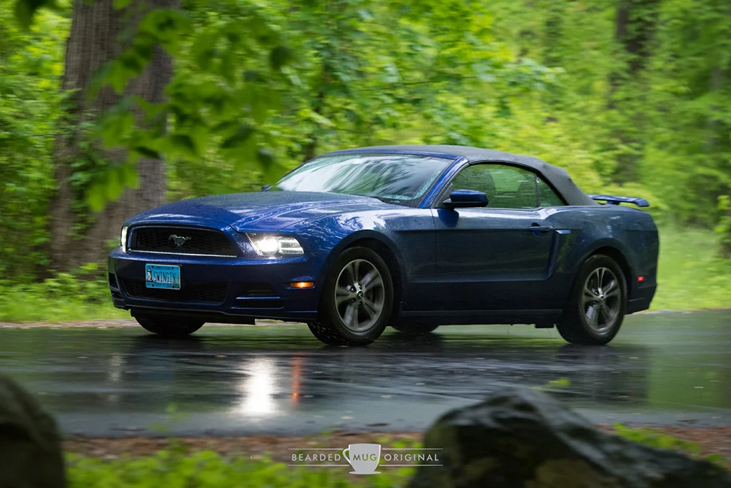 DSC_1695.jpg