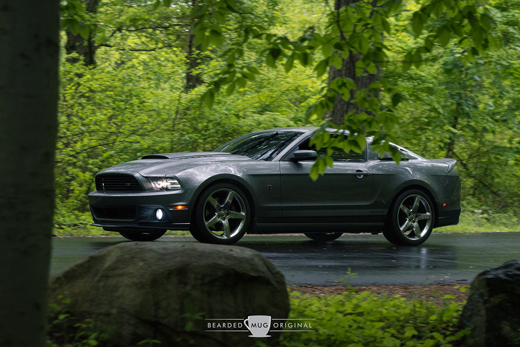 DSC_1797.jpg
