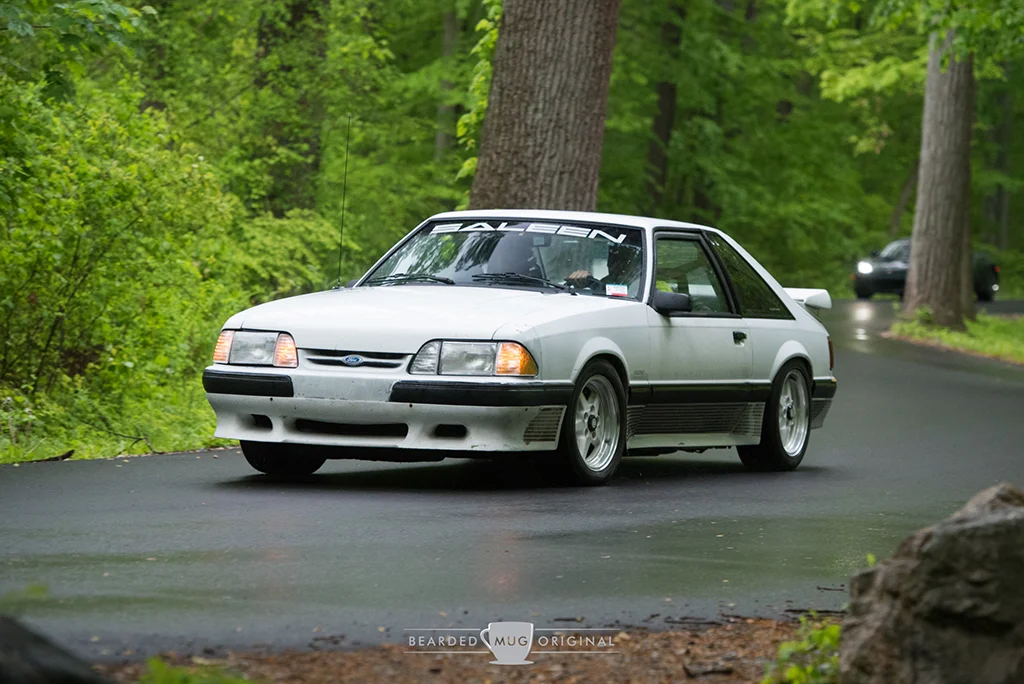 DSC_2206.jpg