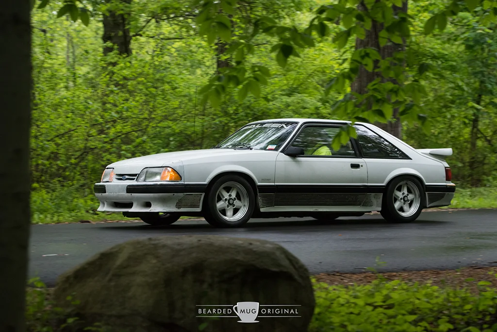 DSC_2207.jpg