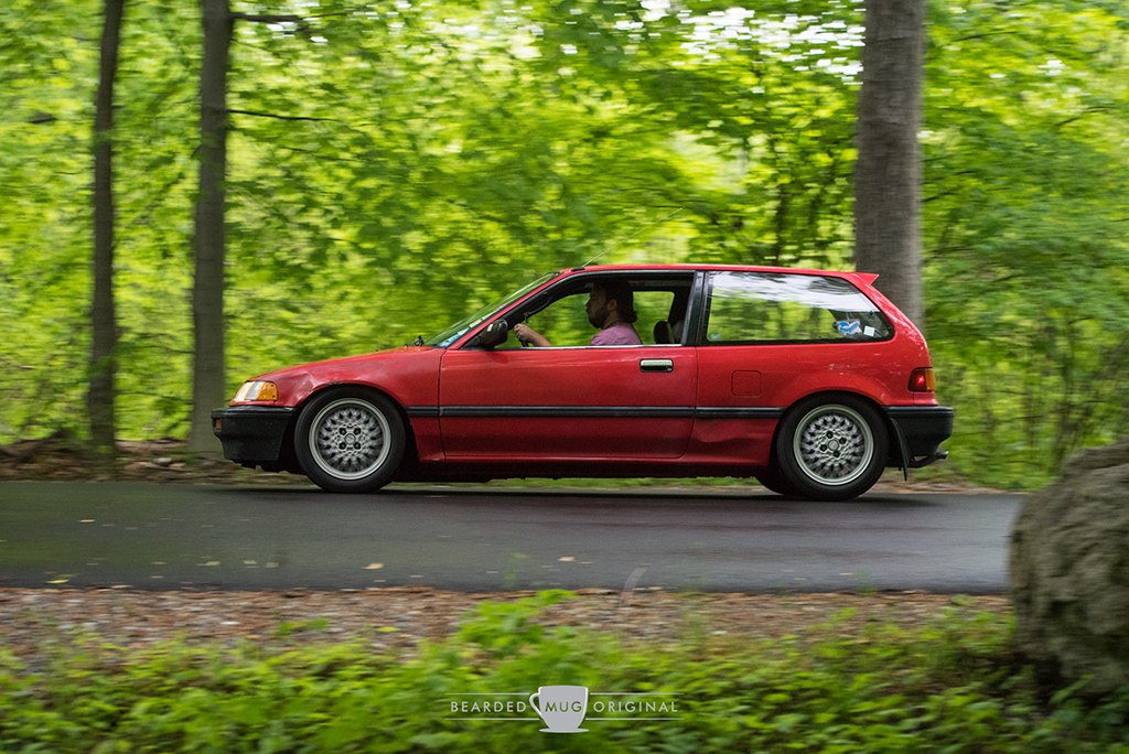 DSC_2431.jpg