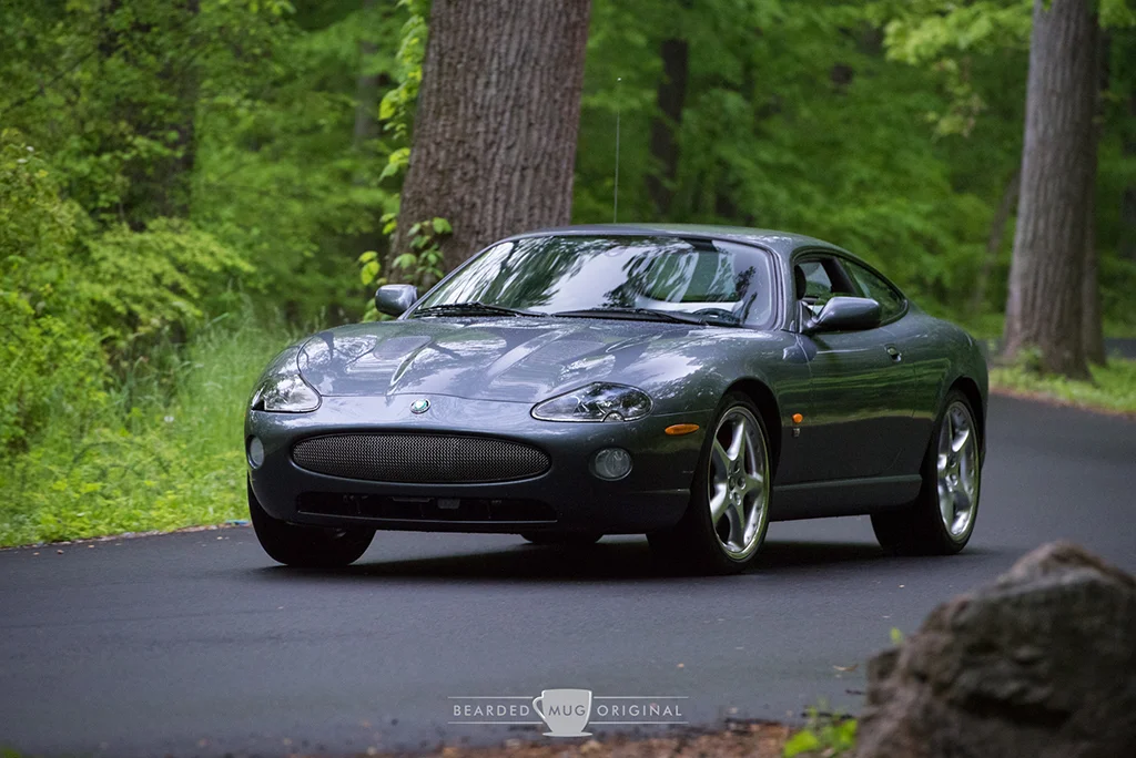 DSC_2526.jpg
