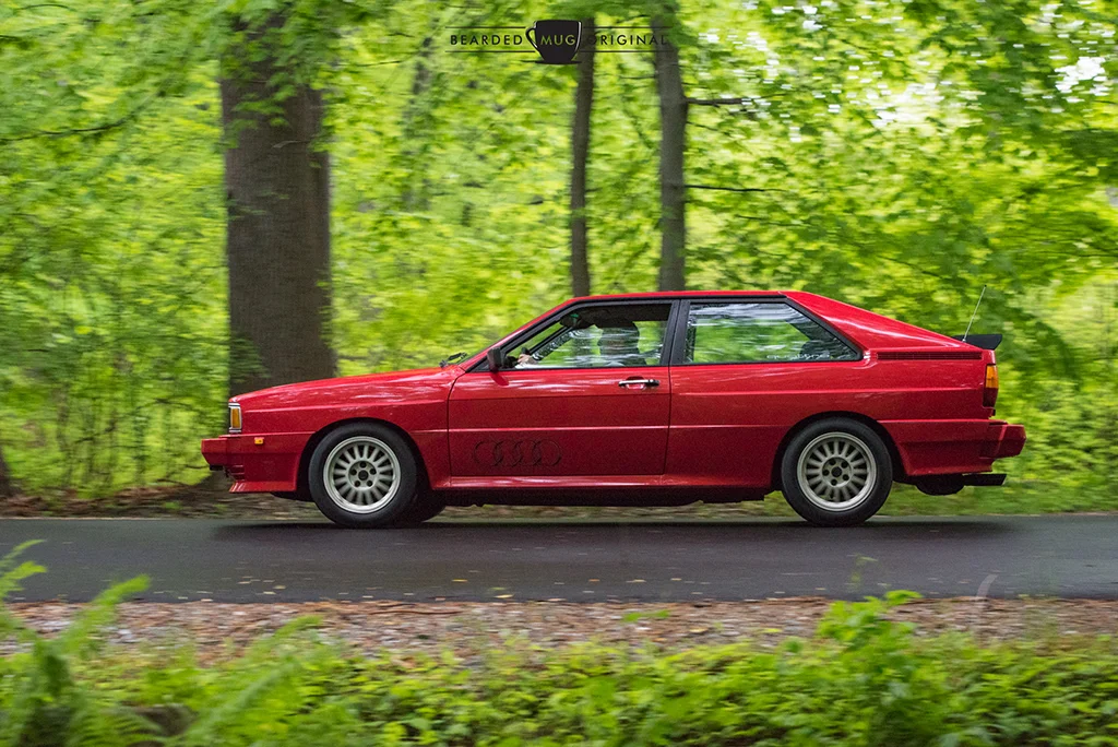 DSC_2560.jpg
