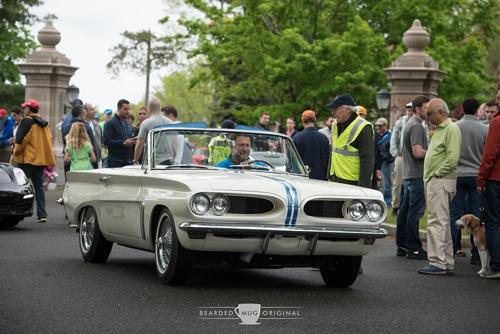 DSC_2781.jpg