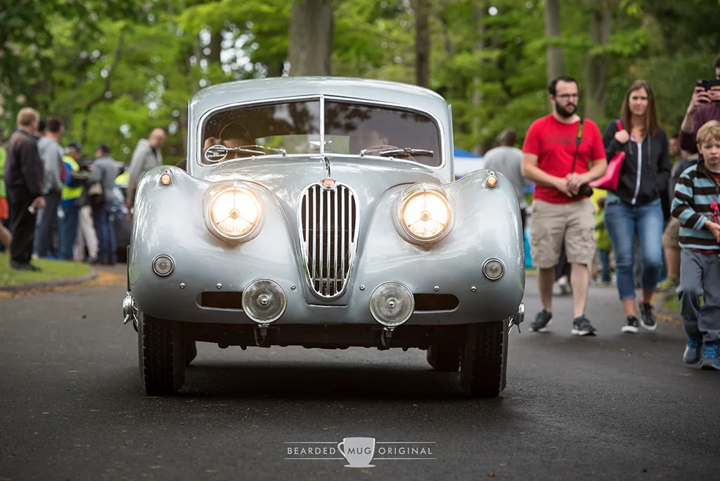 DSC_2874.jpg