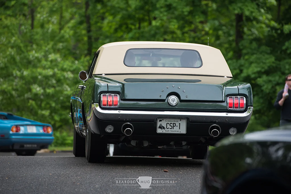 DSC_2889.jpg