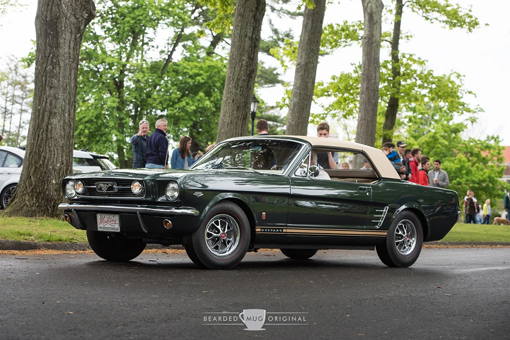 DSC_2884.jpg