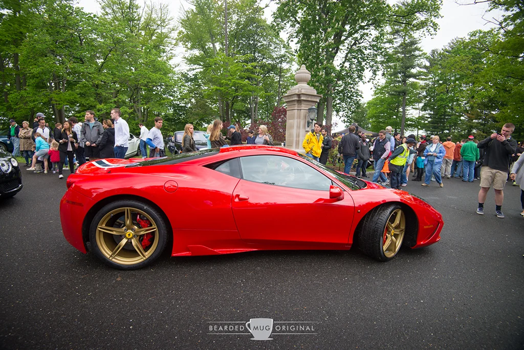 DSC_7525.jpg