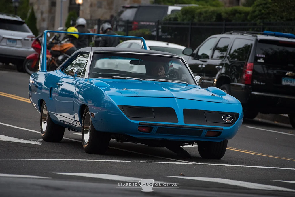 DSC_0374.jpg