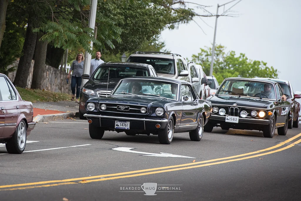 DSC_0449.jpg