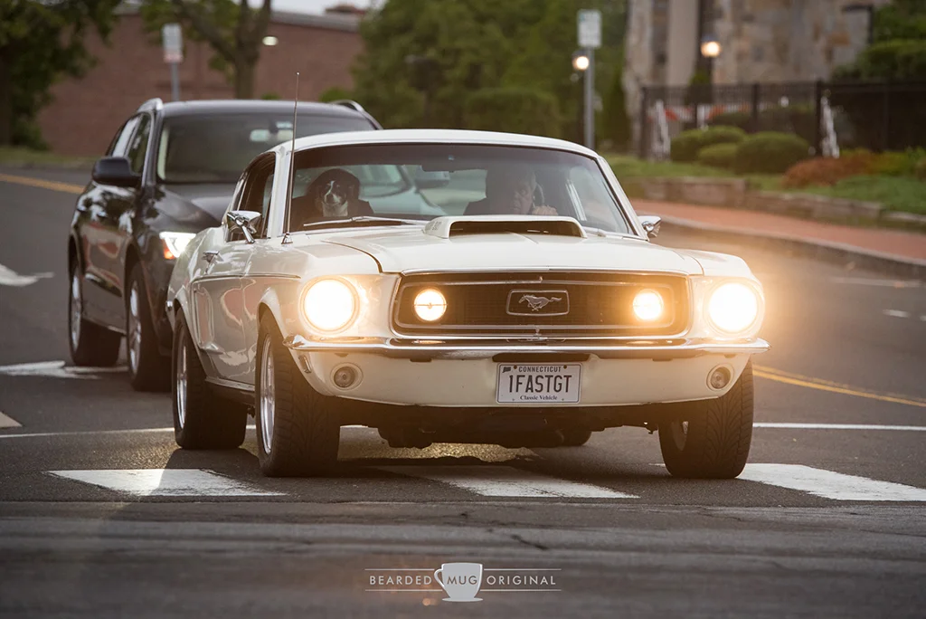 DSC_9984.jpg