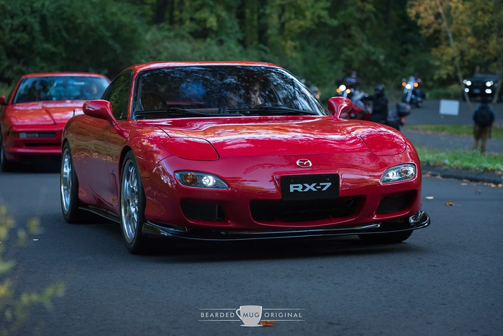 DSC_0180.jpg