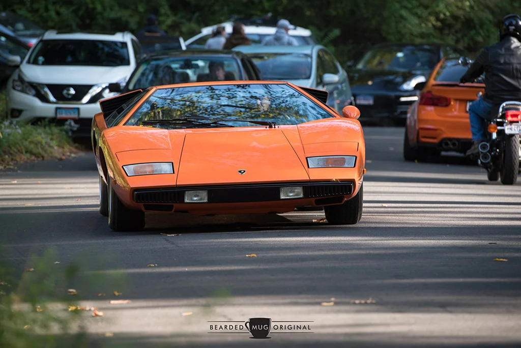 DSC_0771.jpg