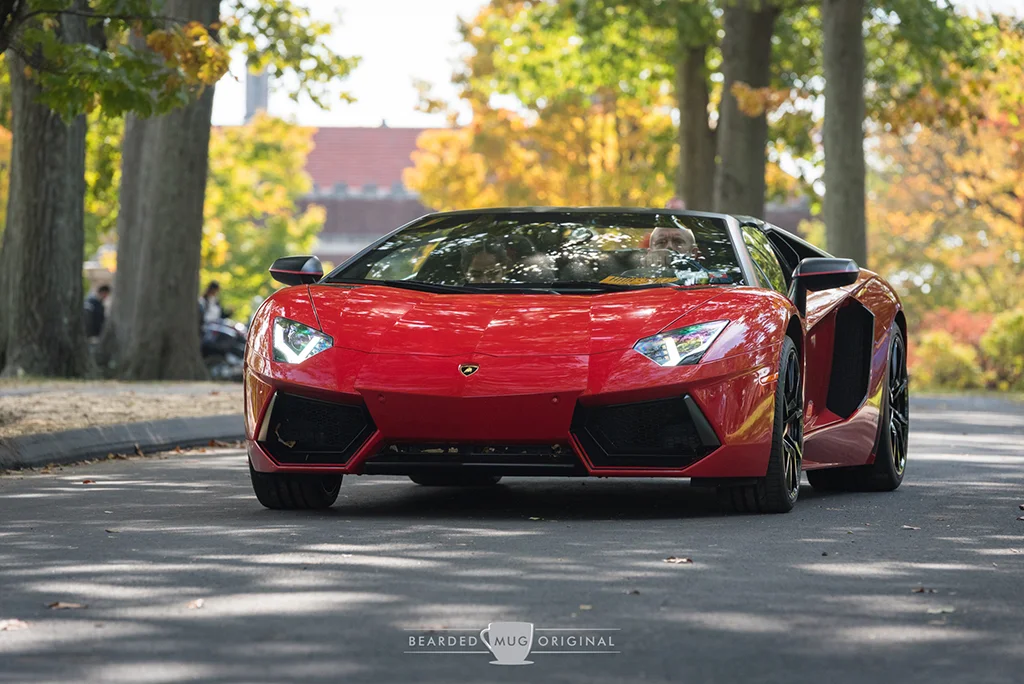 DSC_1751.jpg