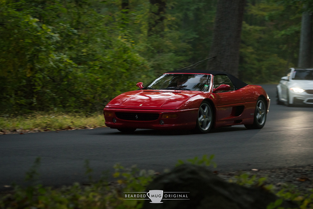 DSC_8272.jpg