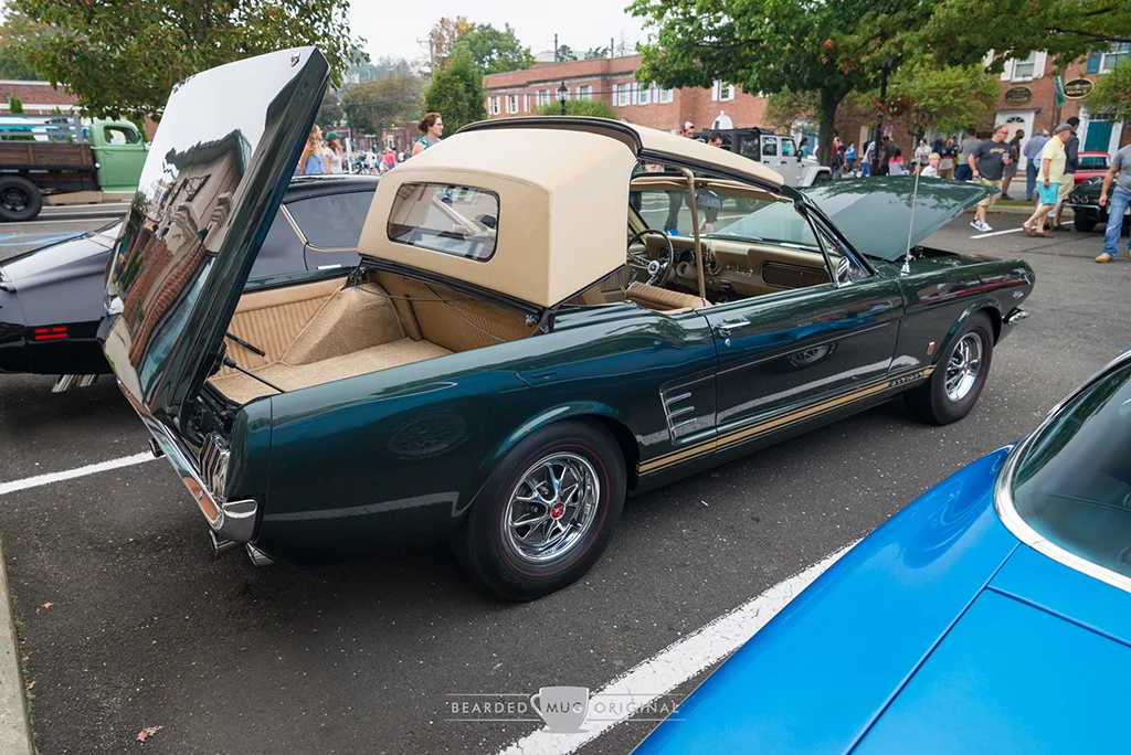 D60_8864.jpg