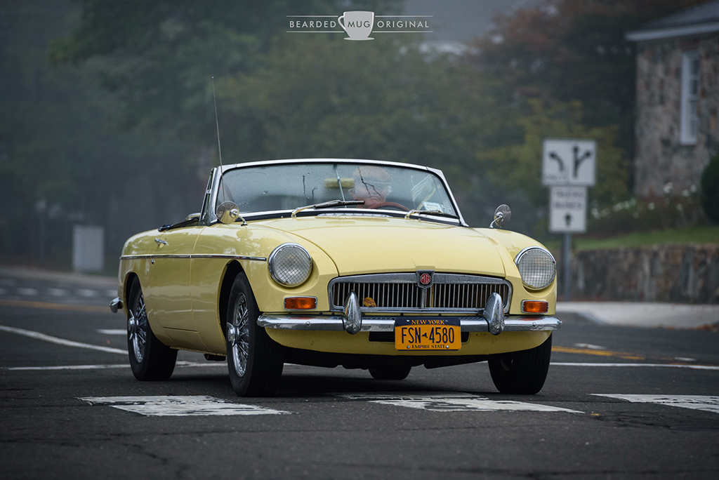 DSC_5319.jpg