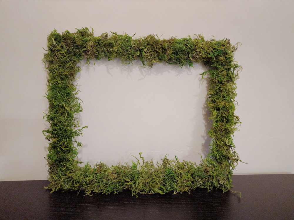 DIY Moss Frame — Joy Lynn
