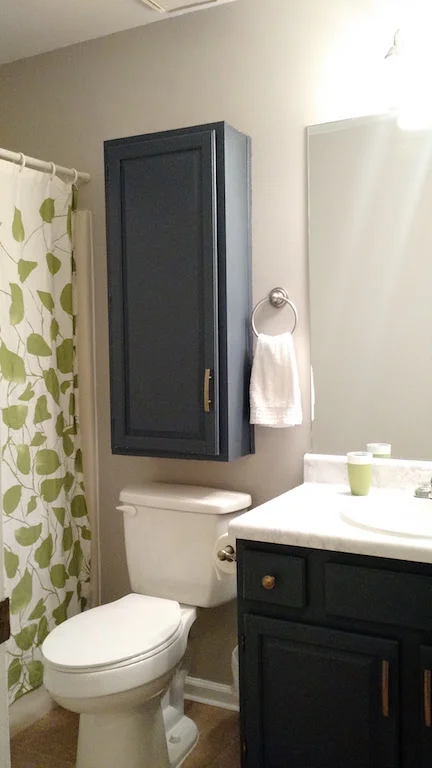 january : updated the guest bath