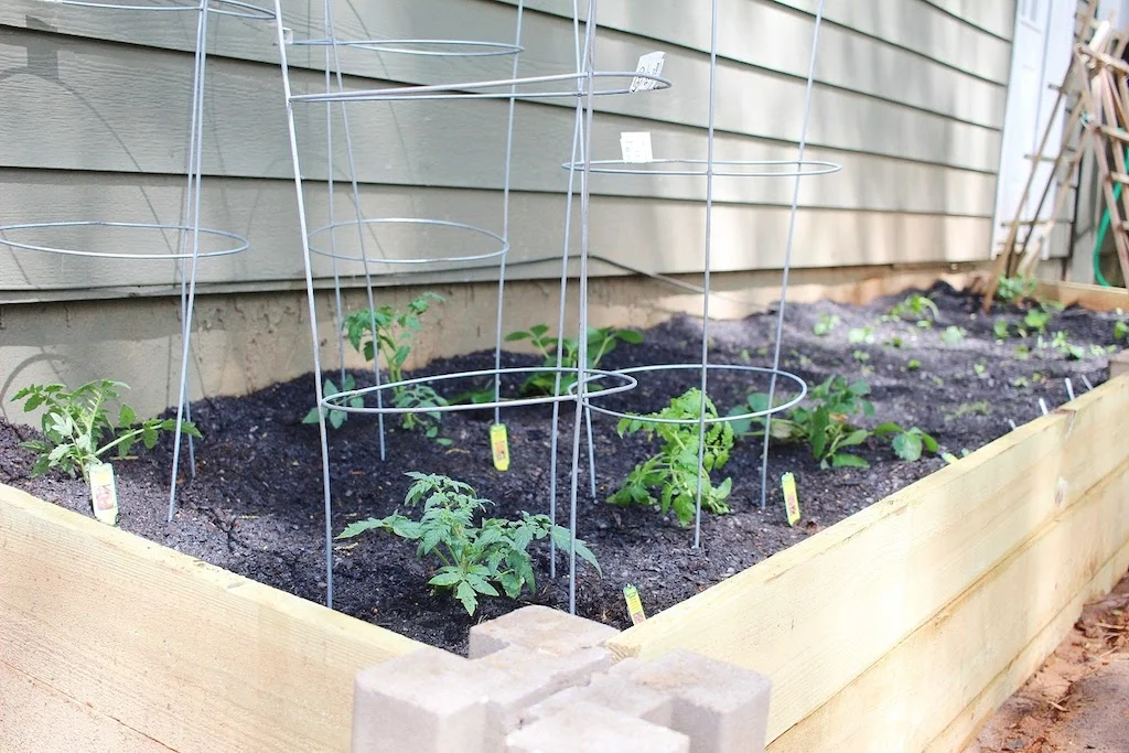 Easy Garden Box