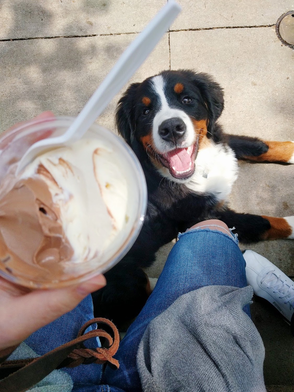  We spent a quick morning puttering around some favorite Milwaukee places. Third Ward, our reception venue, Kopp's Frozen Custard, and the Public Market.&nbsp; 